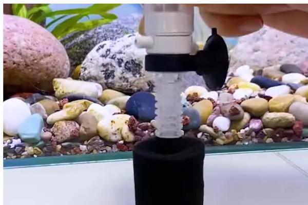 水妖精可以代替过滤吗,水妖精可以代替过滤