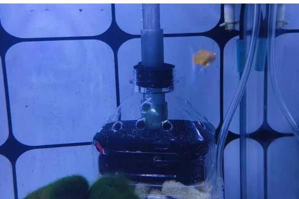 水妖精可以代替过滤吗,水妖精可以代替过滤