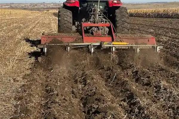 种豆可以肥田的原因,根瘤菌可以补充土壤中的氮素