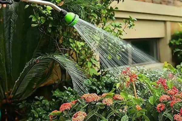 浇花什么时候好,春、秋季建议上午十点浇水