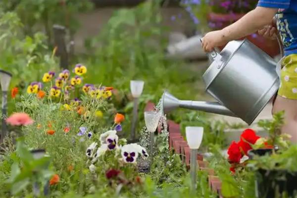 浇花什么时候好,春、秋季建议上午十点浇水