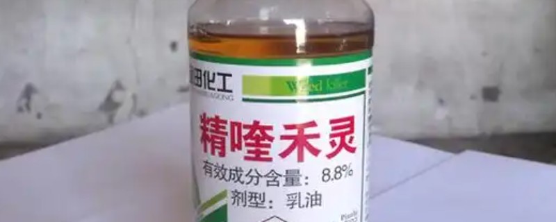 精喹禾灵的主要作用，可抑制杂草细胞的脂肪酸合成