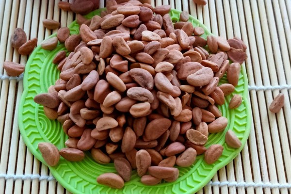 让山楂籽快速发芽的方法，主要有浸泡法、沙藏法、马粪发酵法这三种方式