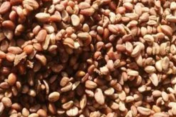 让山楂籽快速发芽的方法，主要有浸泡法、沙藏法、马粪发酵法这三种方式