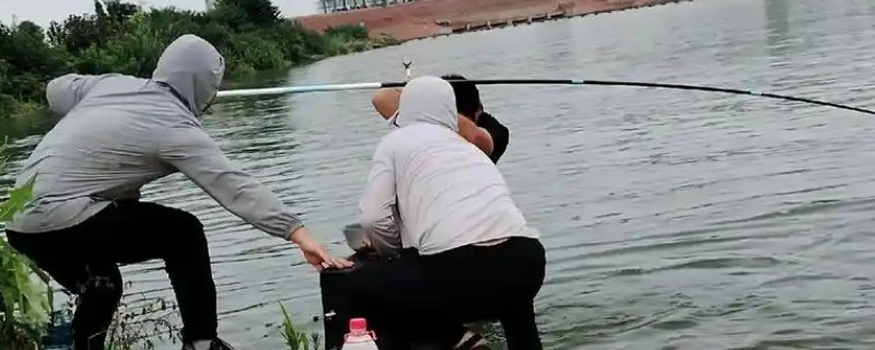 钓鲮鱼选择什么鱼钩，半斤内可用0.3号新关东钩