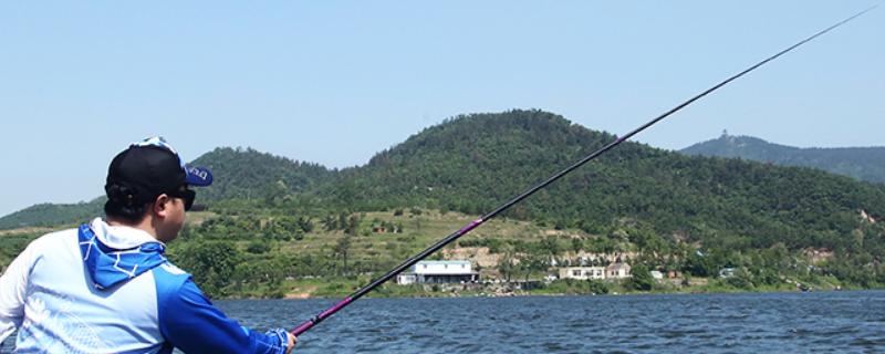 竞技竿是什么，是台钓竿的一种