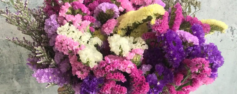 勿忘我干花的寓意，寓意永恒的爱情、不要忘记我等