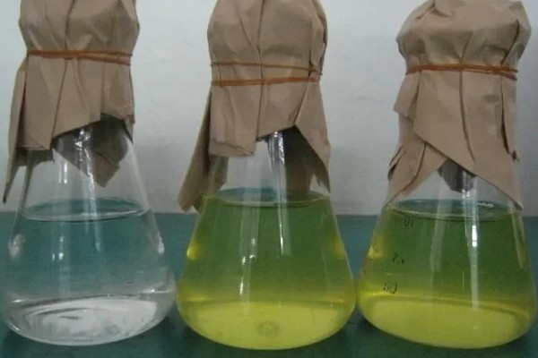 草履虫的培养方法，每隔3天换一次培养液