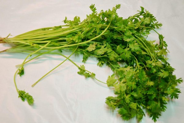 香菜味道重的原因,含有大量的醛类化合物