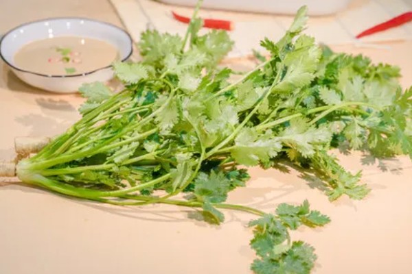 香菜味道重的原因,含有大量的醛类化合物