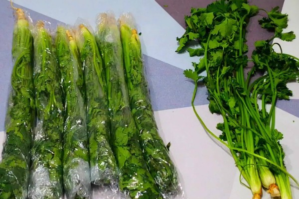 香菜味道重的原因,含有大量的醛类化合物