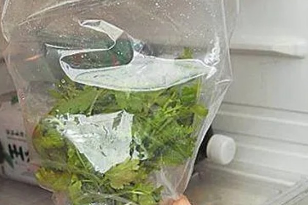 香菜味道重的原因,含有大量的醛类化合物