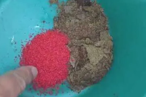 散炮饵是什么，是一种鱼饵