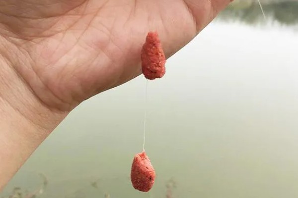 散炮饵是什么，是一种鱼饵