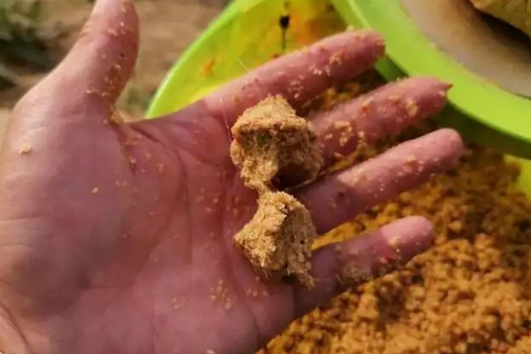 散炮饵是什么，是一种鱼饵