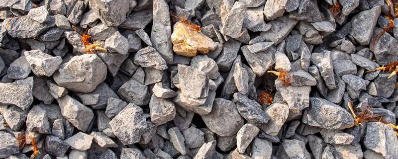 什么是蛭石，是一种层状的硅酸盐矿物