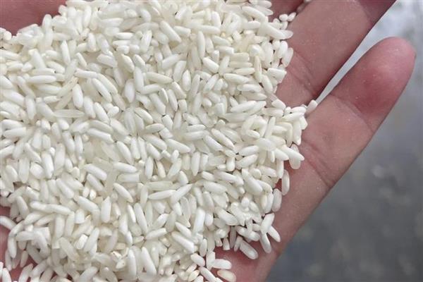 广西省灵山县的特产，灵山荔枝因品质上乘而驰名中外