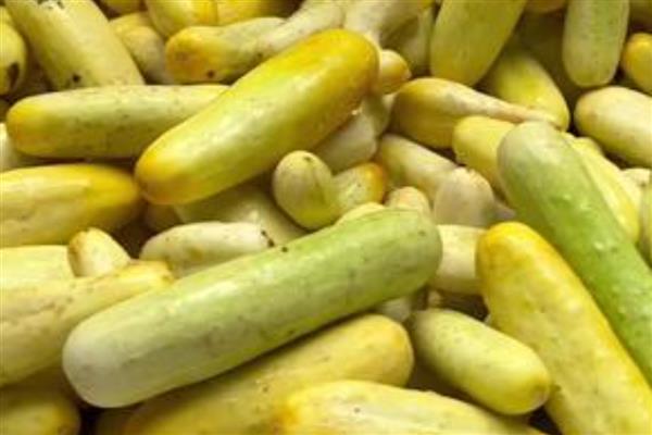 广西省灵山县的特产，灵山荔枝因品质上乘而驰名中外