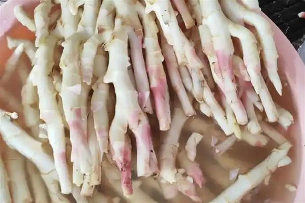 广西省灵山县的特产，灵山荔枝因品质上乘而驰名中外