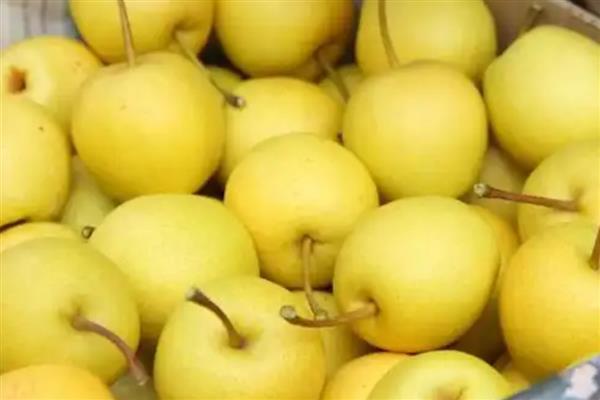 广西省灵山县的特产，灵山荔枝因品质上乘而驰名中外