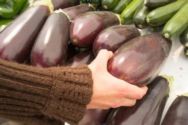 茄子有什么品种，分为长茄、矮茄等类型