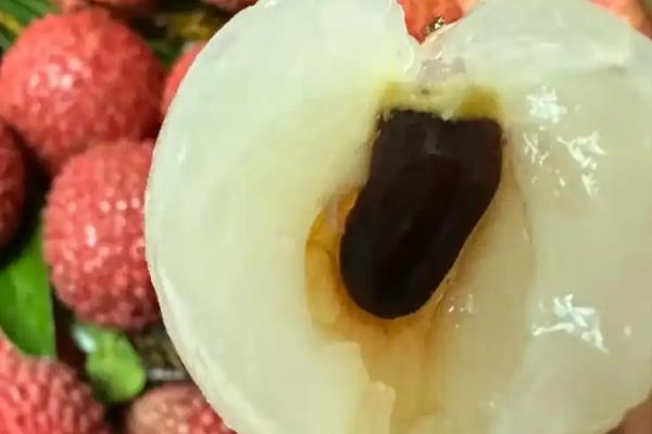 桂味荔枝和糯米糍有什么区别，果核大小、果实外观等方面都不同