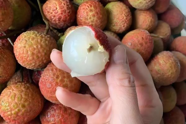 桂味荔枝和糯米糍有什么区别，果核大小、果实外观等方面都不同