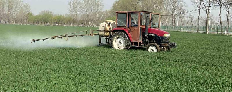 小麦返青期的病虫害怎么防治，出现红蜘蛛可喷施阿维菌素乳油等药物