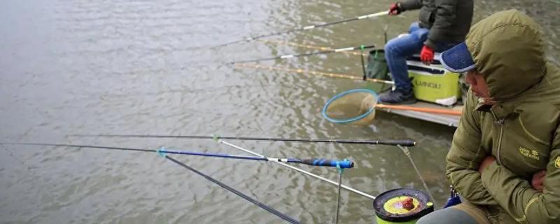 冬季阴天适合钓深吗，鱼儿会在深水区聚集
