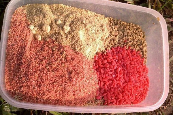 野钓鲫鱼如何打窝，将酒米作为窝料效果较好