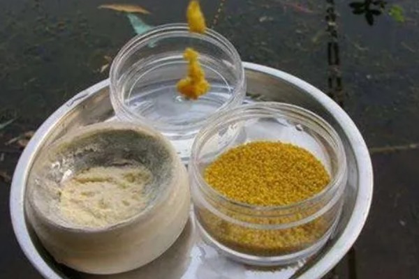 野钓鲫鱼如何打窝，将酒米作为窝料效果较好