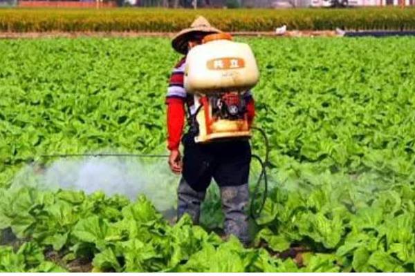 甲维盐的防治对象，可灭杀鳞翅目、双翅目害虫