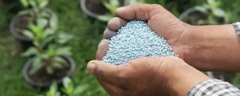 硅肥不能和什么同时用，不可跟碳酸氢铵混用