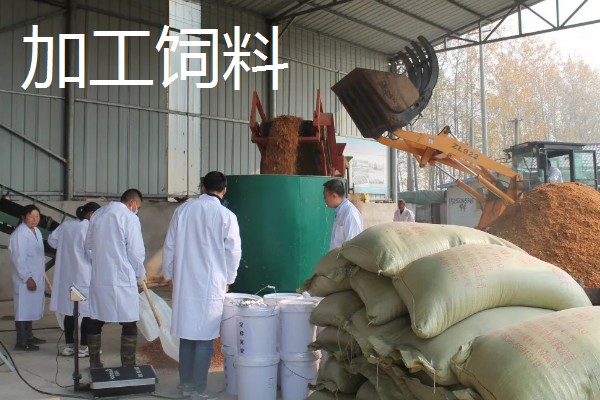 农村有什么偏冷门的创业项目，以下三种可以考虑尝试