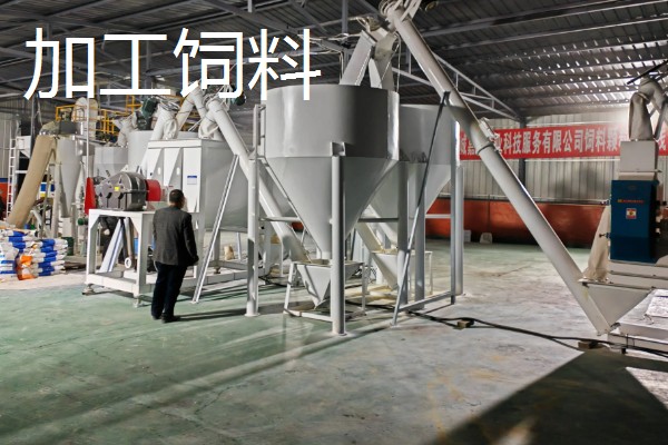 农村有什么偏冷门的创业项目，以下三种可以考虑尝试