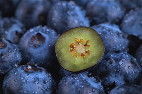 蓝莓的果肉颜色,成熟后呈浅绿色