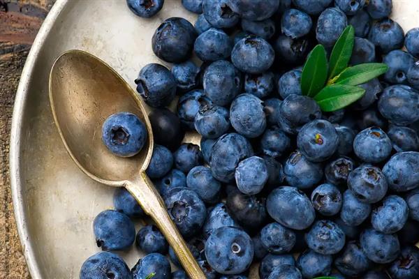 蓝莓的果肉颜色,成熟后呈浅绿色