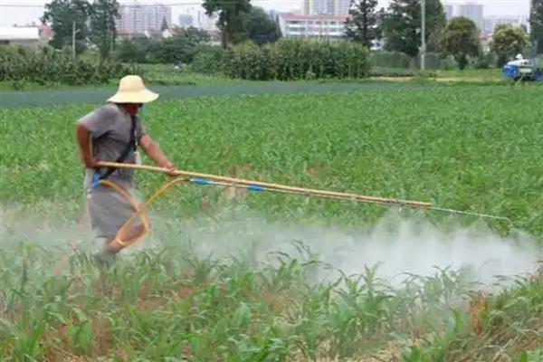 精喹禾灵的主要作用，可抑制杂草细胞的脂肪酸合成