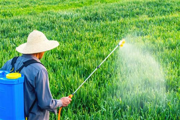 精喹禾灵的主要作用，可抑制杂草细胞的脂肪酸合成