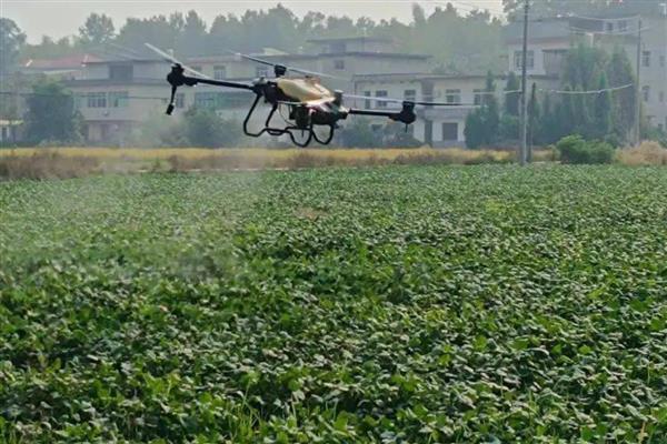 精喹禾灵的主要作用，可抑制杂草细胞的脂肪酸合成