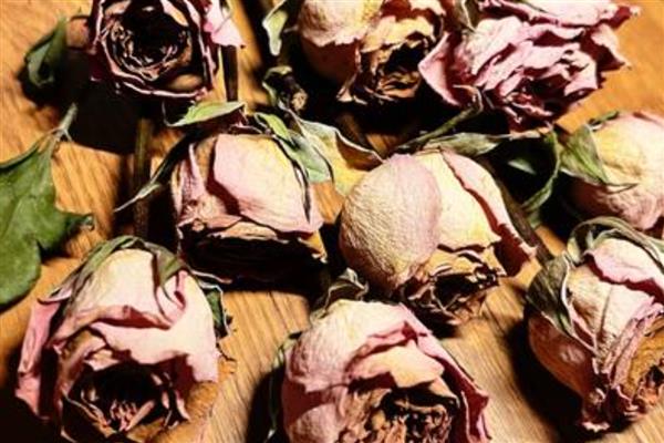 戴安娜的花语,寓意幸福、优雅等