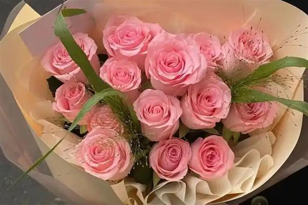 戴安娜的花语,寓意幸福、优雅等