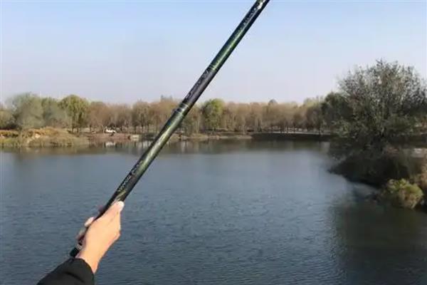 竞技竿是什么，是台钓竿的一种