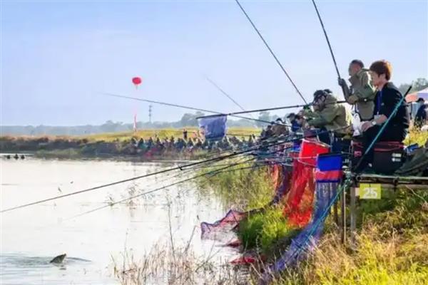 竞技竿是什么，是台钓竿的一种