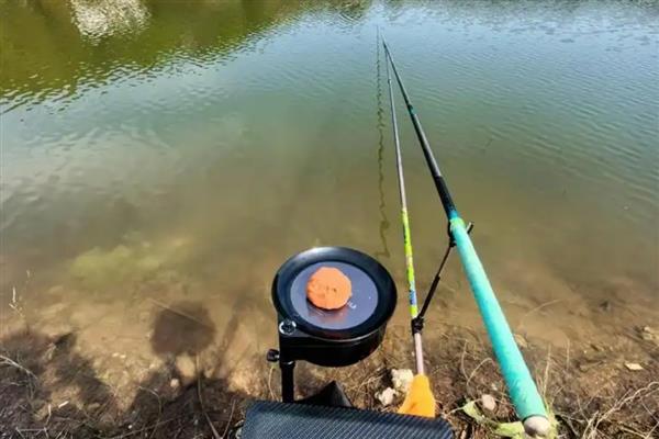 竞技竿是什么，是台钓竿的一种