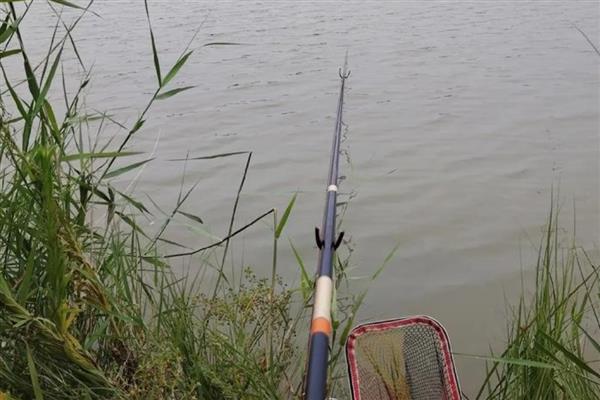 竞技竿是什么，是台钓竿的一种