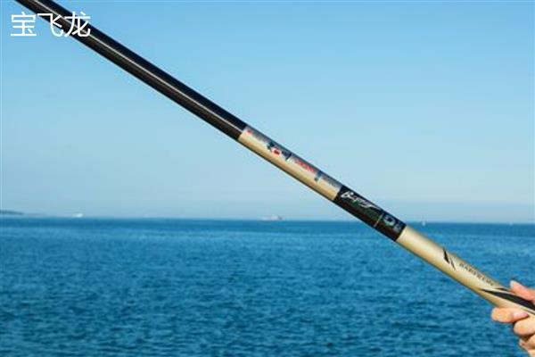 竞技竿是什么，是台钓竿的一种