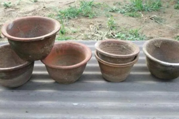 兰花的种植方法，选择比较深的瓦盆