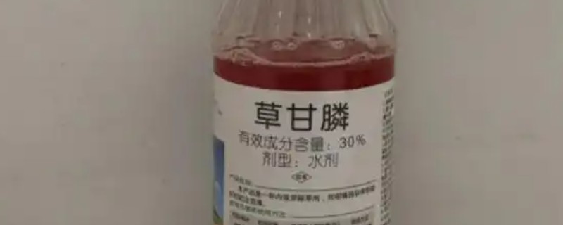 果园适合用什么除草剂，草甘膦、草铵膦等药物效果好