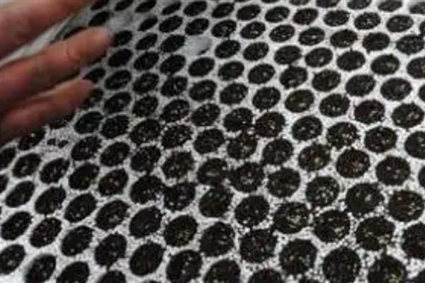 棉花怎么育苗,可以采用飘浮育苗